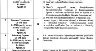 Government College Women University Jobs Faisalabad